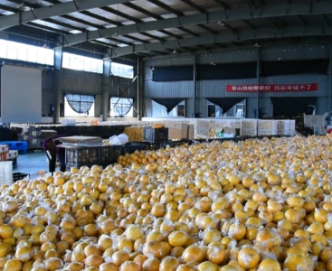 順豐快遞給手動液壓搬運車消毒，保障生鮮瓜果食品安全